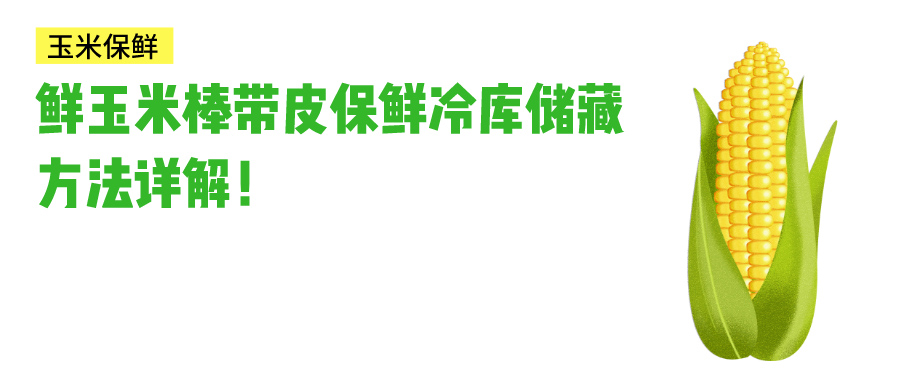 鮮玉米帶皮保鮮冷庫儲(chǔ)藏方法介紹