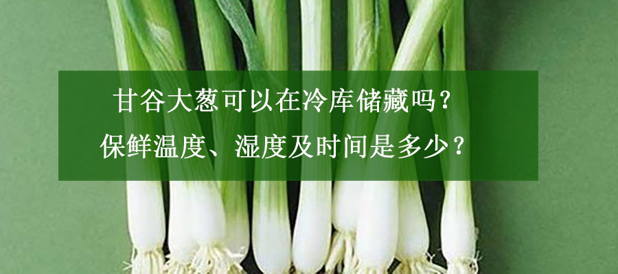 甘谷大蔥可以在冷庫儲(chǔ)藏嗎？保鮮溫度、濕度及時(shí)間是多少？