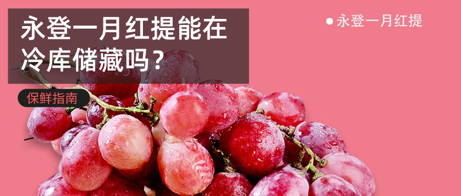 永登一月紅提冷庫(kù)儲(chǔ)藏