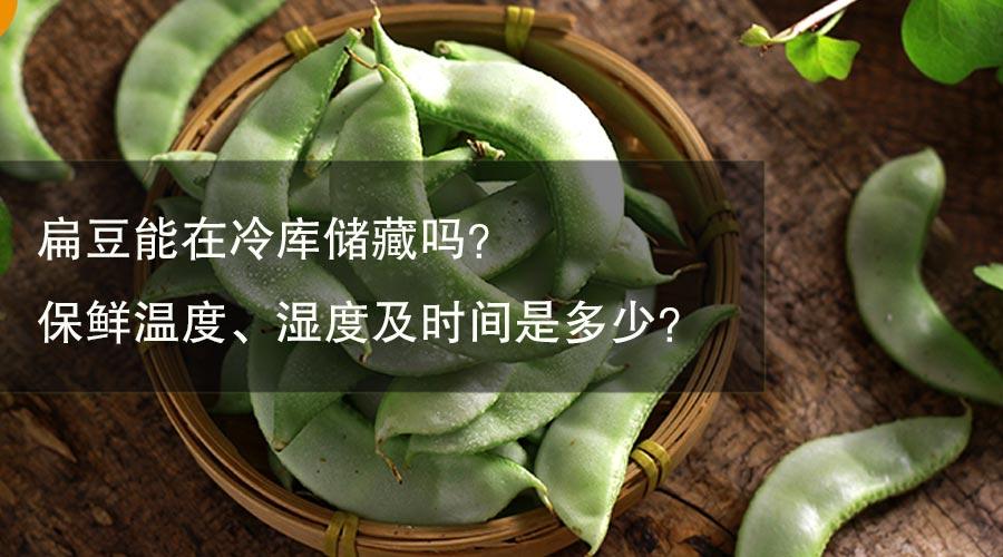 扁豆能在冷庫(kù)儲(chǔ)藏嗎？保鮮溫度、濕度及時(shí)間是多少？