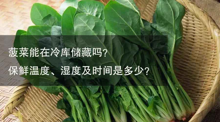 菠菜能在冷庫儲藏嗎？ 保鮮溫度、濕度及時間是多少？