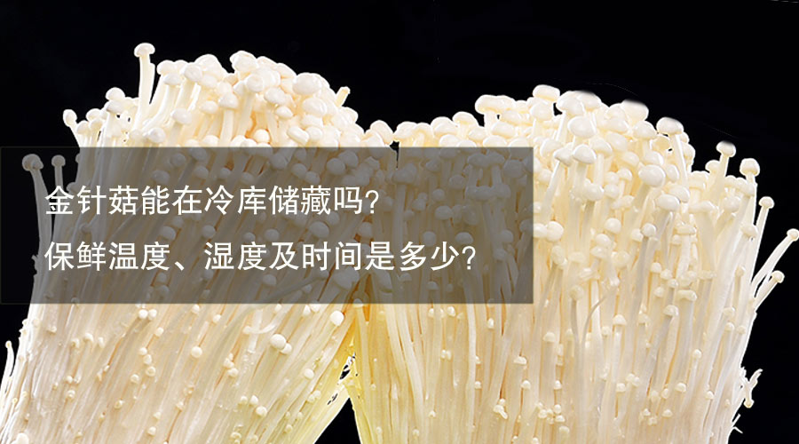 金針菇冷庫(kù)保鮮溫度、相對(duì)濕度及時(shí)間介紹