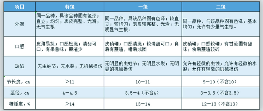 甘蔗放冷庫前分級(jí)