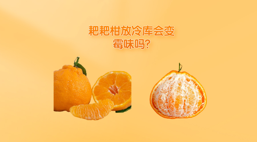 耙耙柑放冷庫會(huì)變霉味嗎?