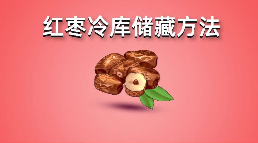 鮮紅棗（大棗）冷庫(kù)儲(chǔ)藏方法指南