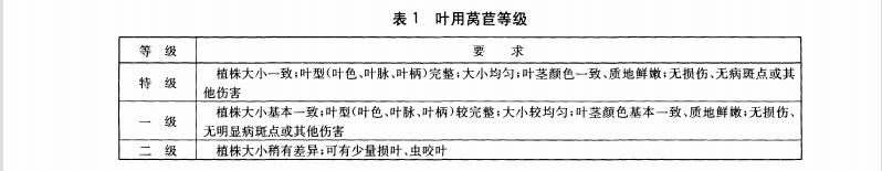 生菜（葉用萵苣）等級(jí)參考標(biāo)準(zhǔn)