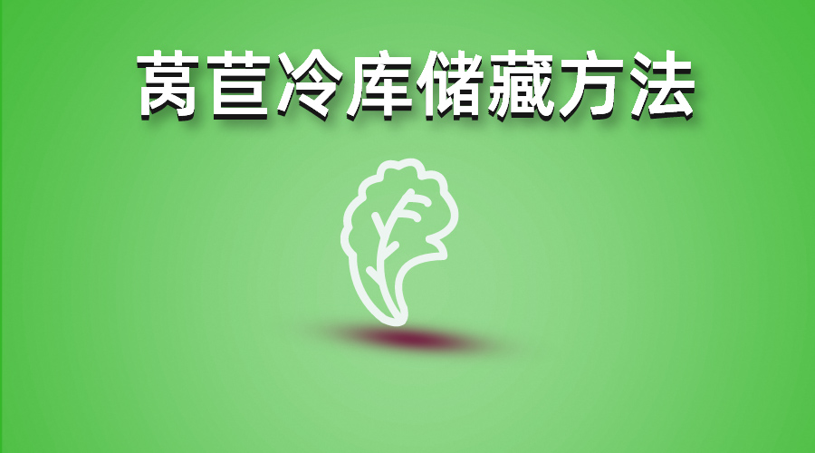 萵苣冷庫儲(chǔ)藏方法介紹