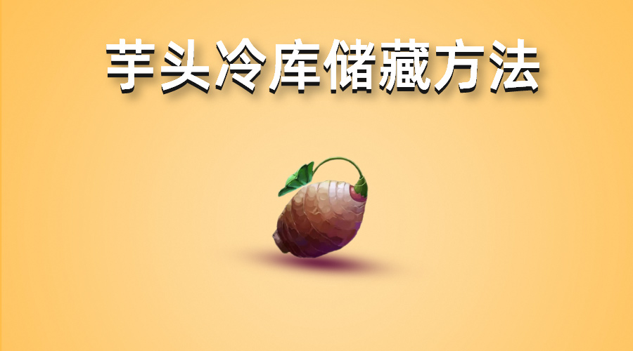 芋頭冷庫儲(chǔ)藏方法介紹