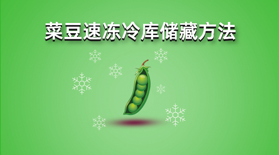 豆角速凍冷庫(kù)儲(chǔ)藏方法詳解