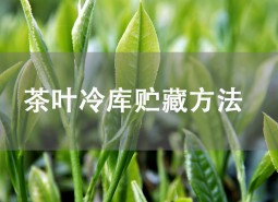 茶葉貯藏方法是什么？茶葉冷庫(kù)儲(chǔ)存介紹！