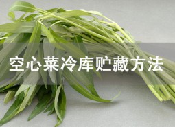 空心菜冷庫(kù)貯藏方法詳解！這樣貯藏可保鮮1個(gè)月！