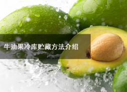 牛油果冷庫貯藏溫度為多少？可以在冷庫貯藏多長時間？-萬能制冷